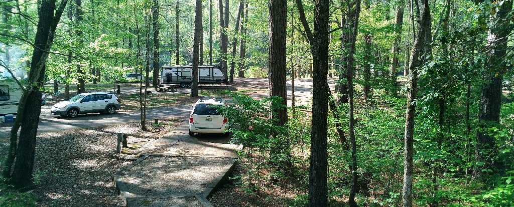 Clear Springs Campground in Homochitto Forest