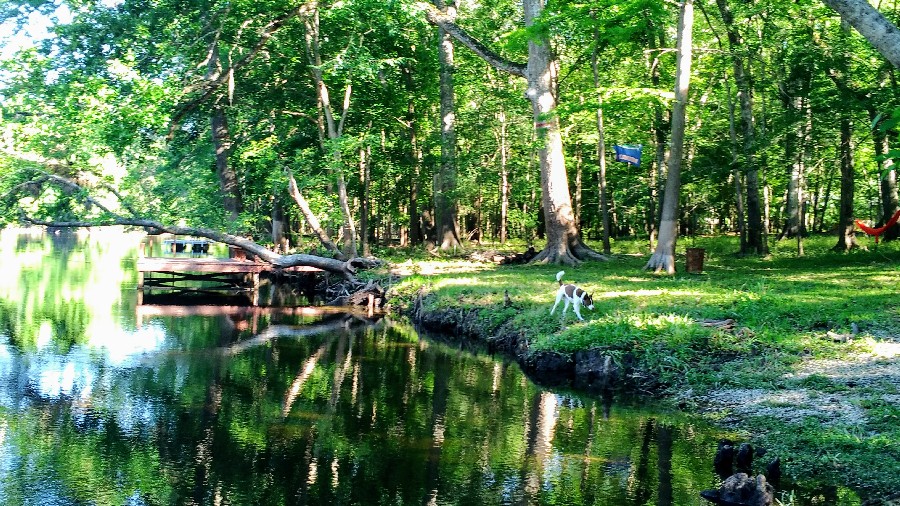 Florida's Santa Fe River